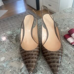 Casadei